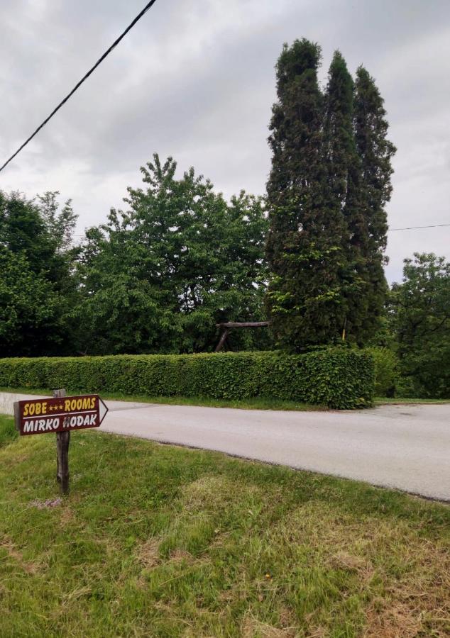 Guesthouse Mirko Hodak Selište Drežničko Kültér fotó